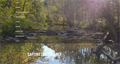 Desktop Screenshot of captina.org